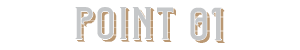 POINT 01